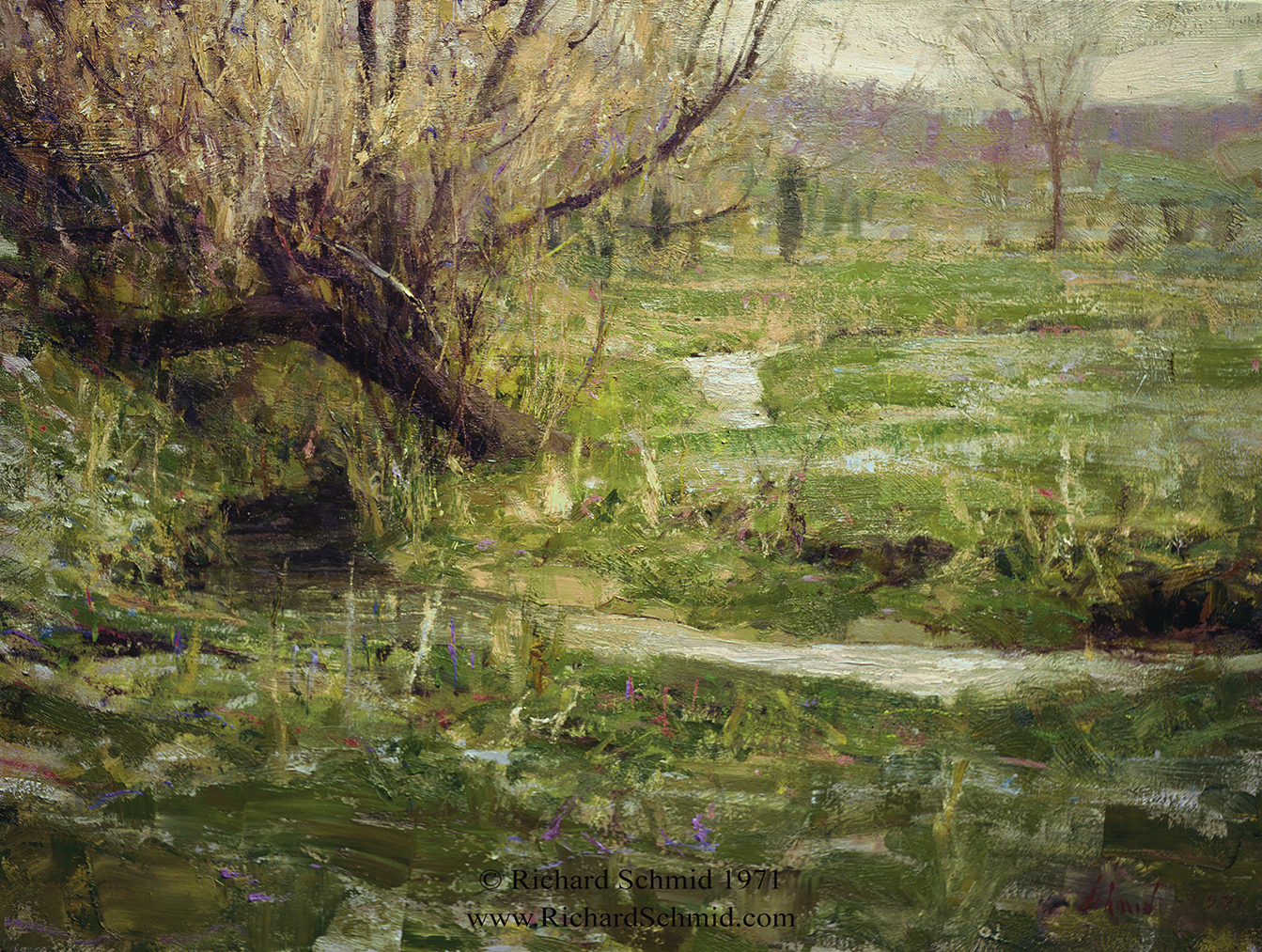 Spring Frost by Richard Schmid
