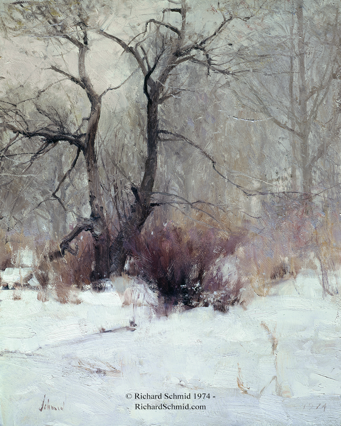 Winter Apple Tree by Richard Schmid